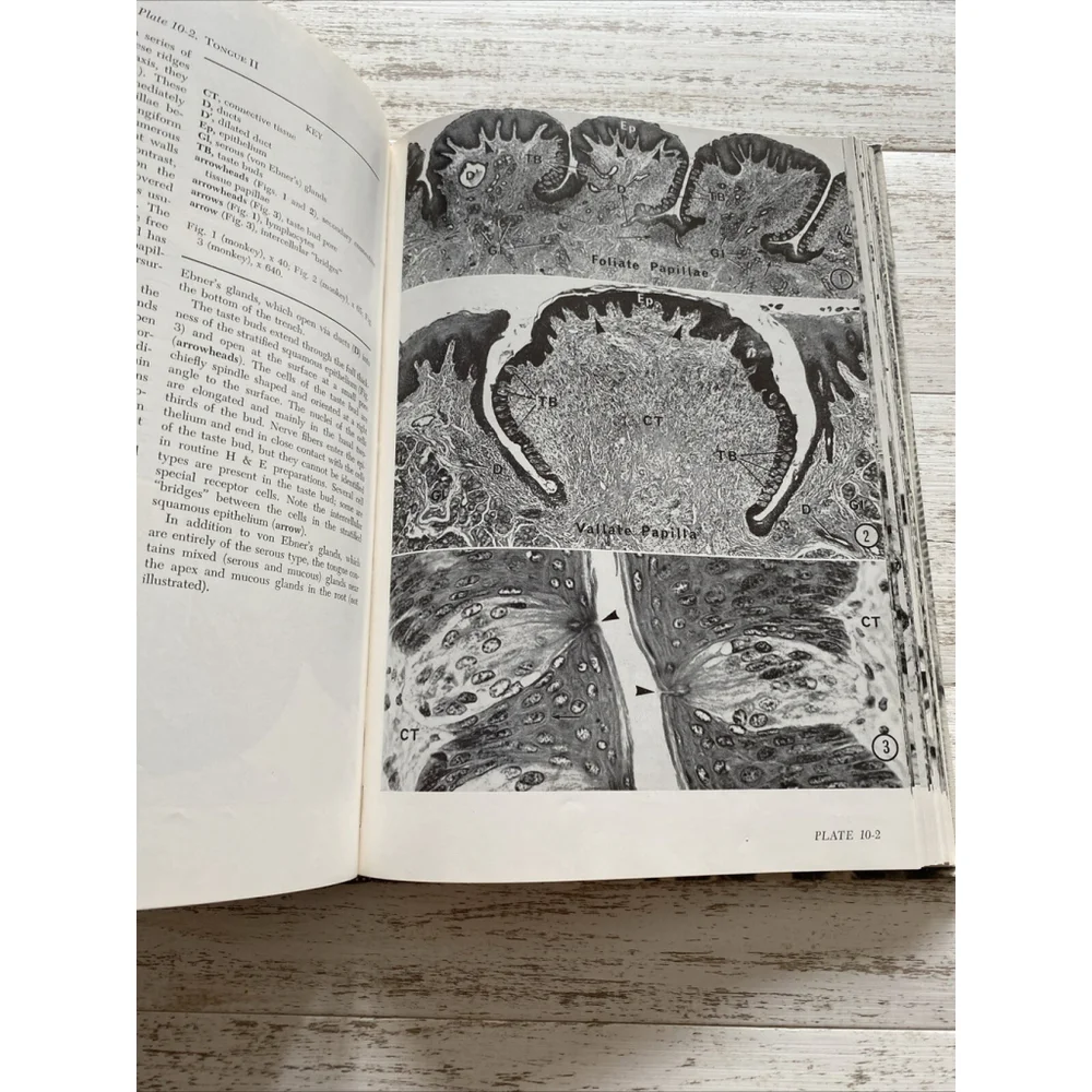 Vintage Histology Atlas 1970 Medical Textbook Hardcover Reith Ross 2nd Edition